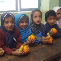 Nutrition Program